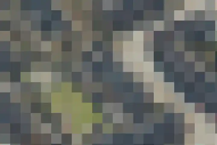 Turfstreek 71 Soest thumbnail 42