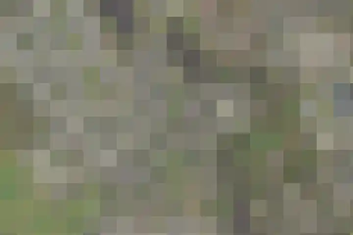 Turfstreek 71 Soest thumbnail 44