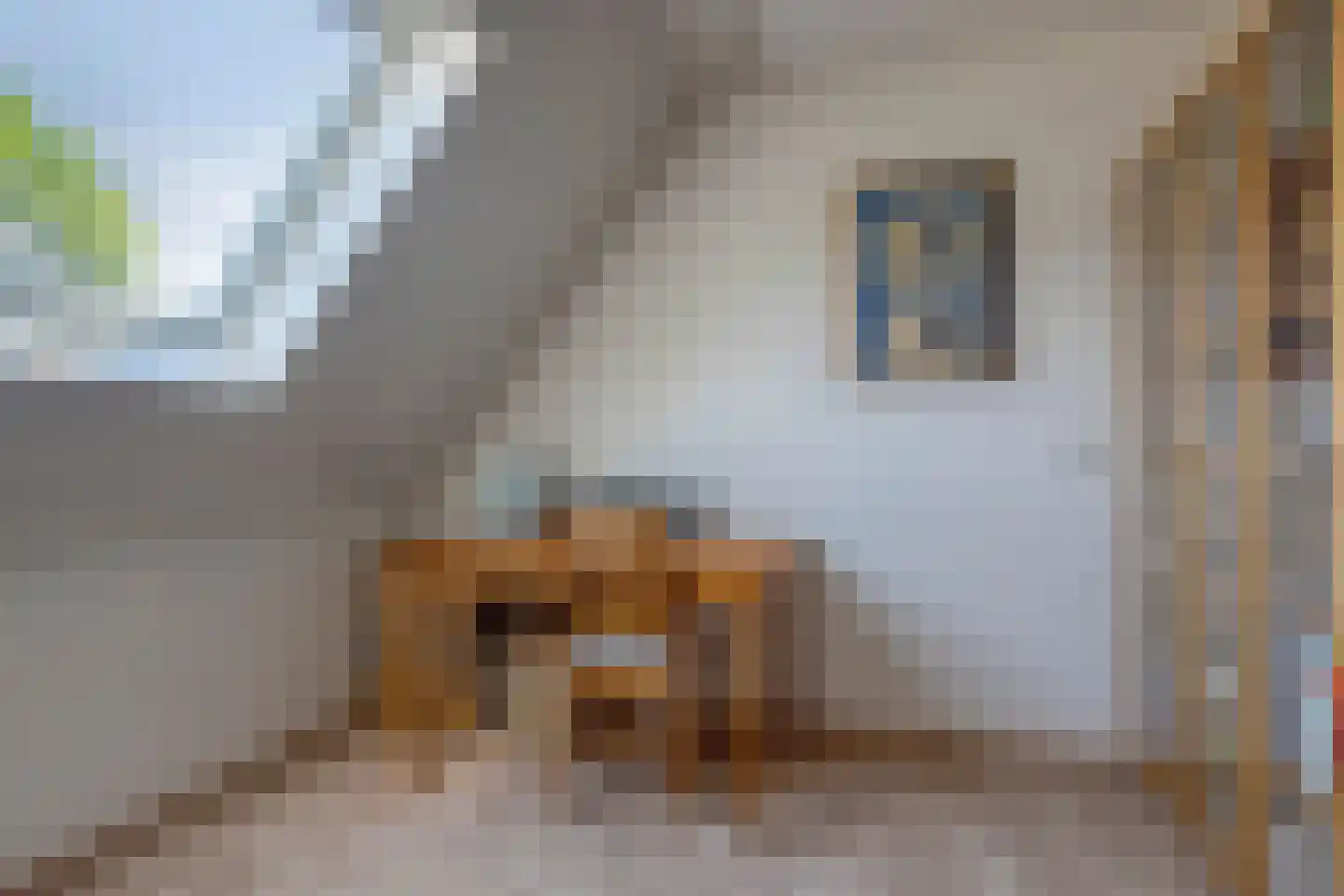 Turfstreek 89 Soest thumbnail 17