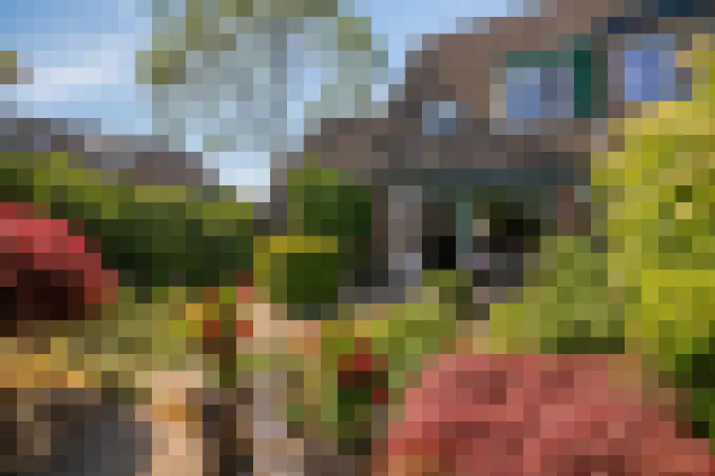 Turfstreek 89 Soest thumbnail 28