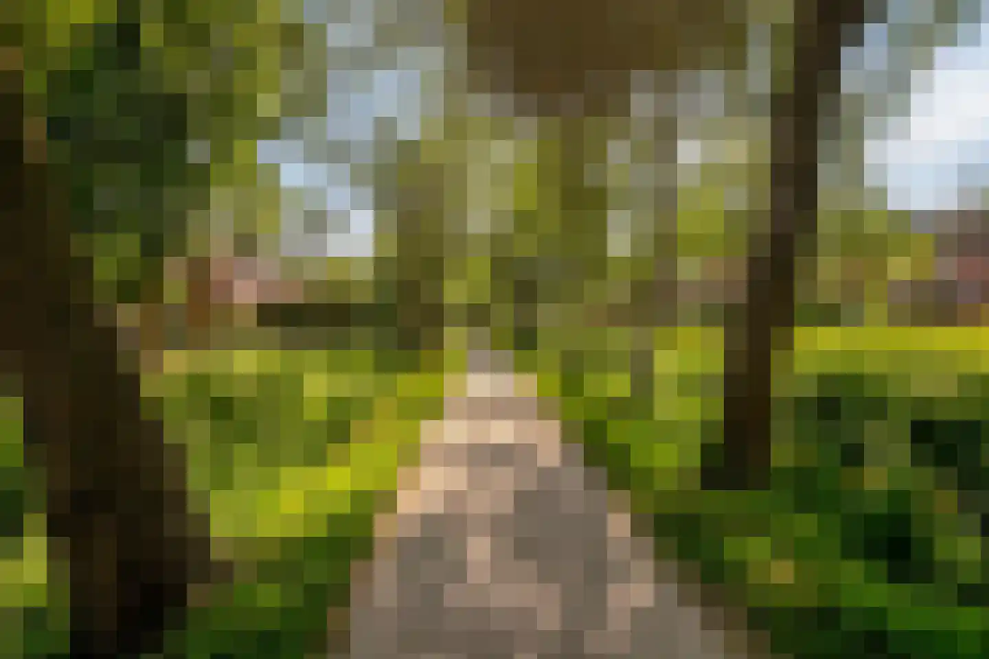 Turfstreek 89 Soest thumbnail 34