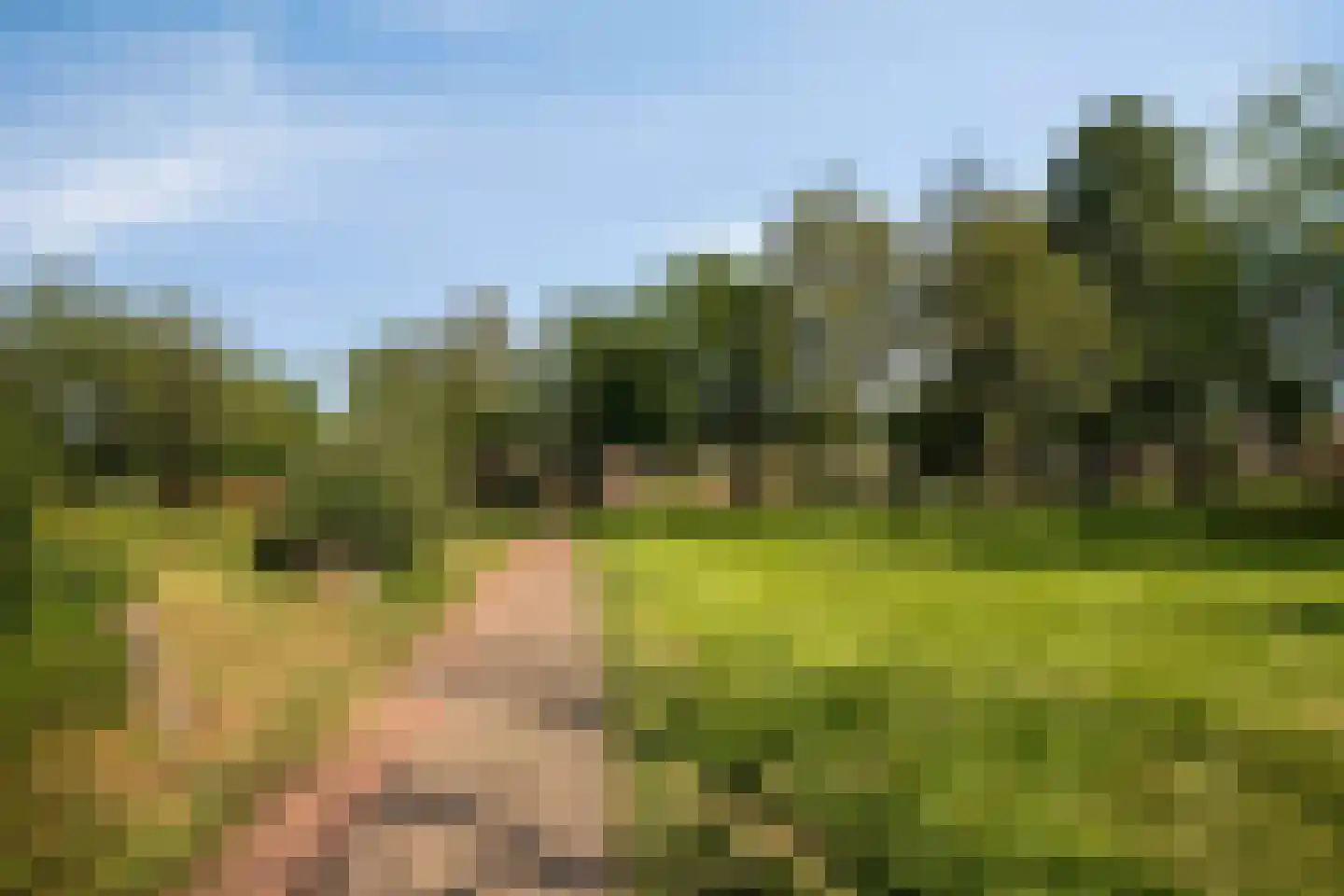 Turfstreek 89 Soest thumbnail 35