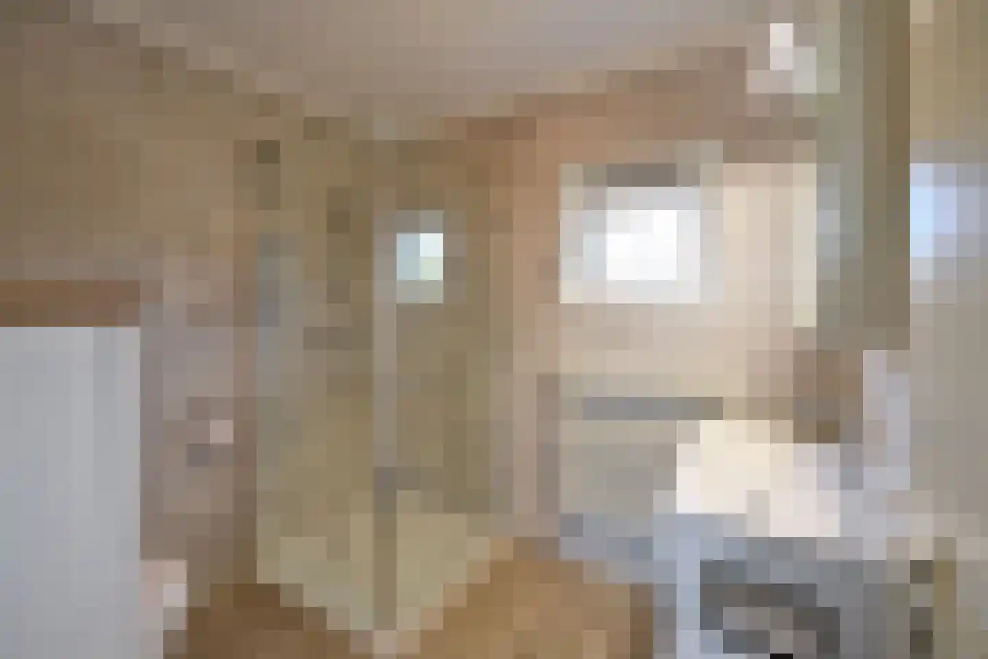 Turfstreek 9 Soest thumbnail 15
