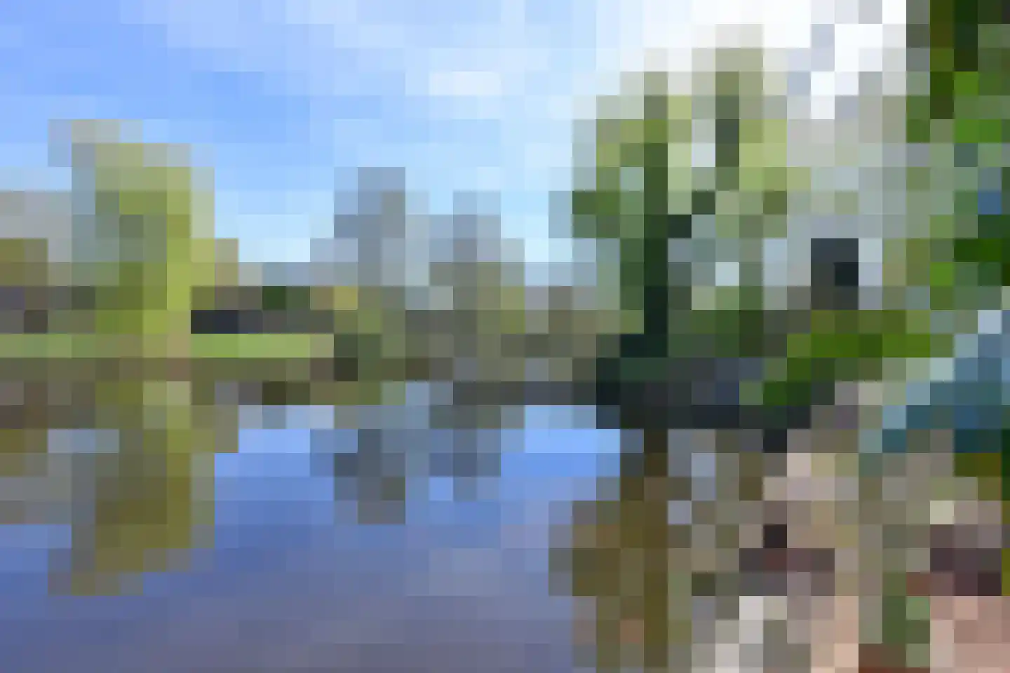 Turfstreek 9 Soest thumbnail 5