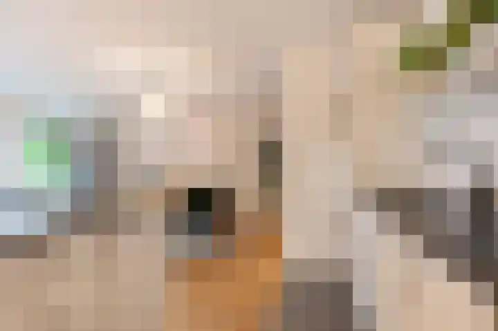 Turftorenstraat 31 Groningen thumbnail 14
