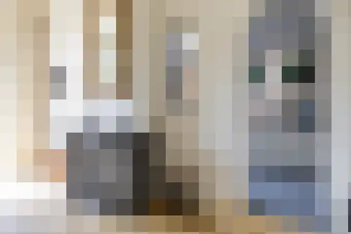 Turftorenstraat 38 Groningen thumbnail 14