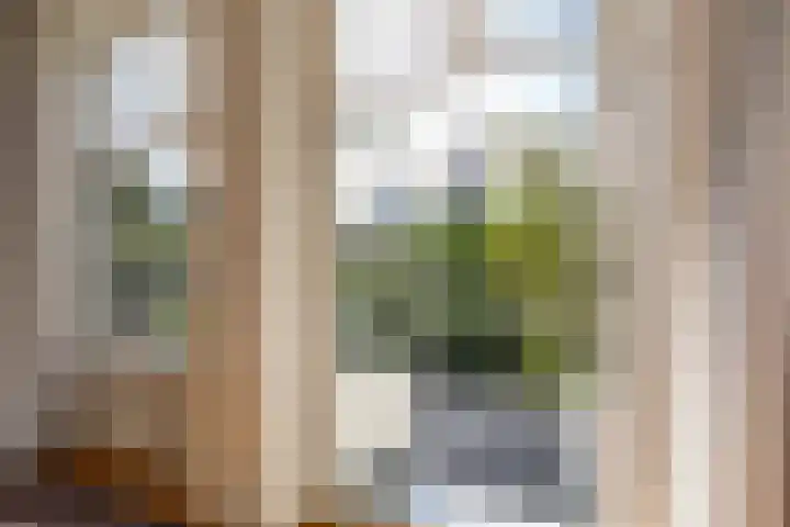 Turftorenstraat 38 Groningen thumbnail 21