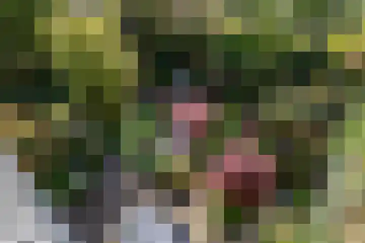 Turftorenstraat 38 Groningen thumbnail 22