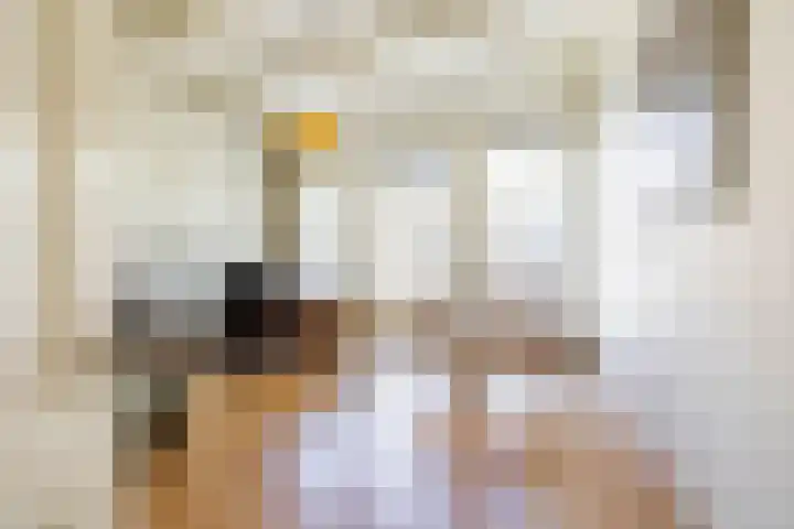 Turftorenstraat 38 Groningen thumbnail 35