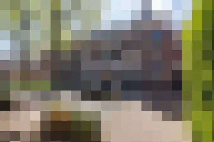 Turftorenstraat 38 Groningen thumbnail 4