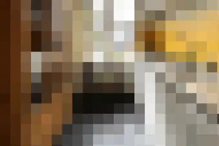 Turftorenstraat 38 Groningen thumbnail 43