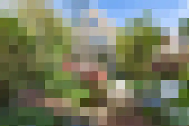 Turftorenstraat 38 Groningen thumbnail 45