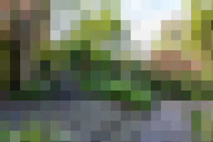 Turftorenstraat 38 Groningen thumbnail 49