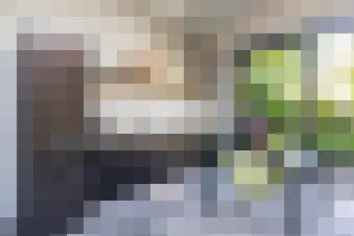 Turftorenstraat 38 Groningen thumbnail 53