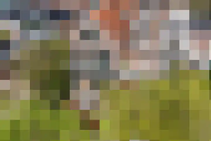 Turftorenstraat 38 Groningen thumbnail 58
