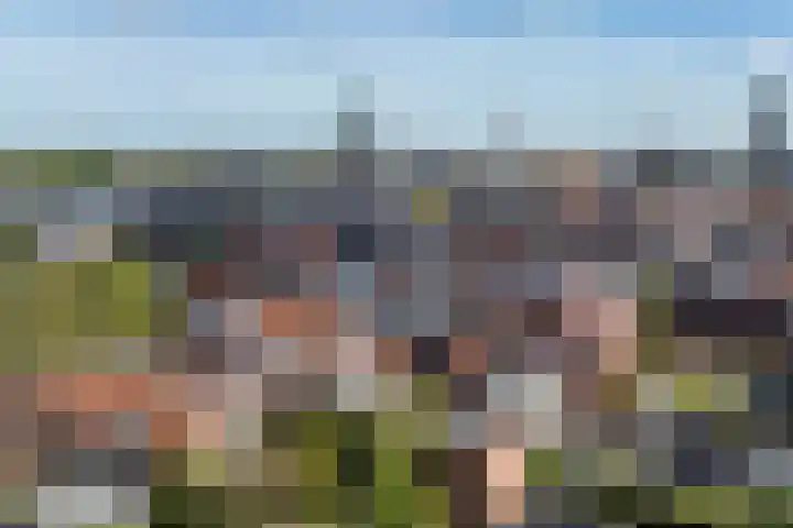 Turftorenstraat 38 Groningen thumbnail 59