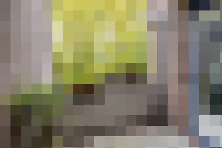 Turftorenstraat 43 Groningen thumbnail 30