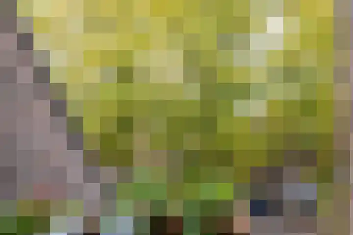 Turftorenstraat 43 Groningen thumbnail 31