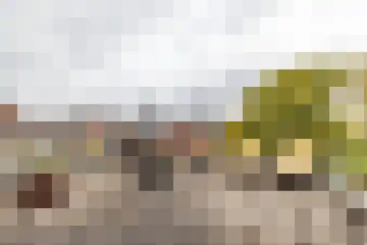 Turftorenstraat 43 Groningen thumbnail 44
