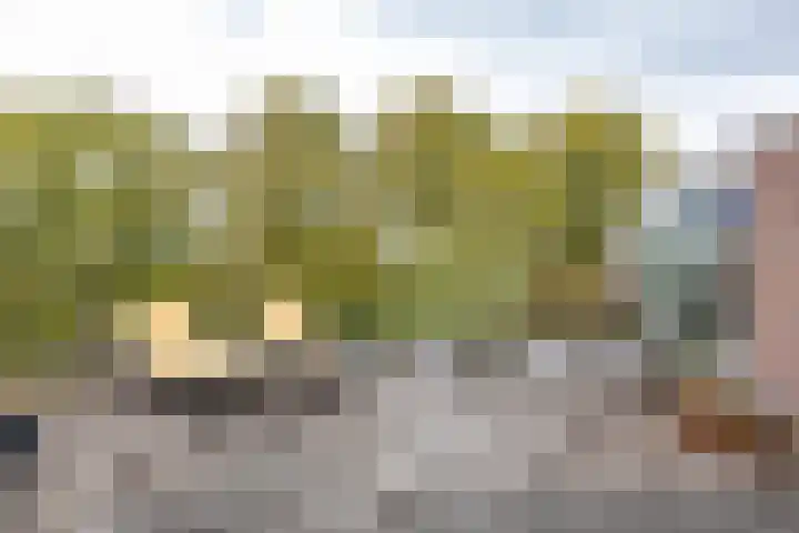 Turftorenstraat 43 Groningen thumbnail 47