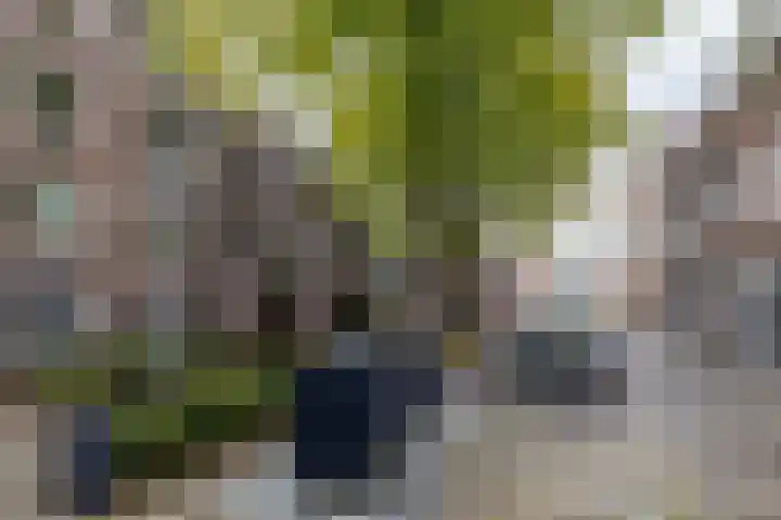 Turftorenstraat 43 Groningen thumbnail 57