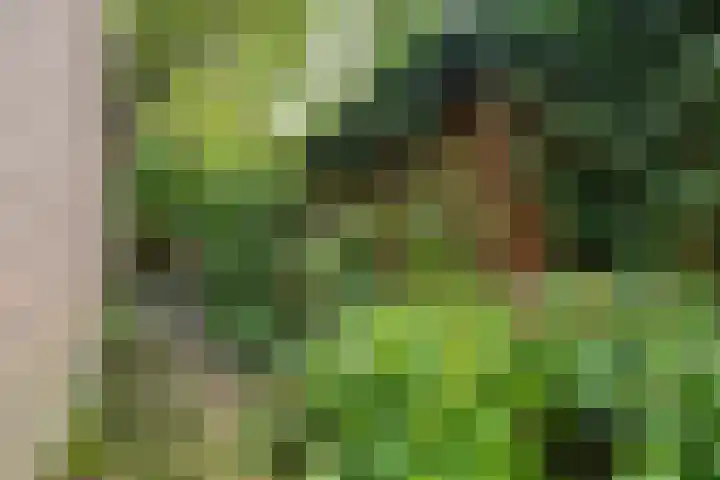 Turftorenstraat 43 Groningen thumbnail 58