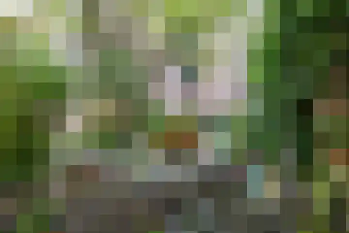 Turftorenstraat 43 Groningen thumbnail 60