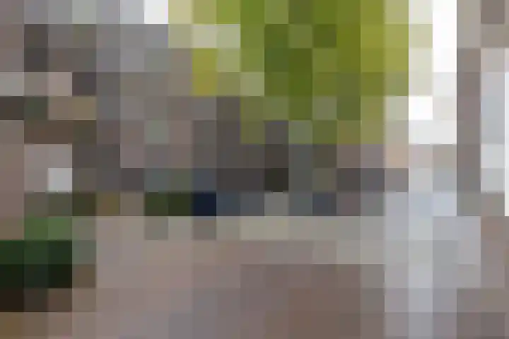 Turftorenstraat 43 Groningen thumbnail 65