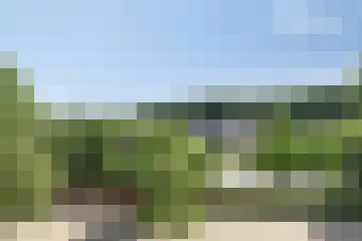 Turfvaartstraat 18 Breda thumbnail 25