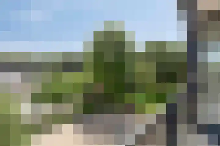 Turfvaartstraat 18 Breda thumbnail 27
