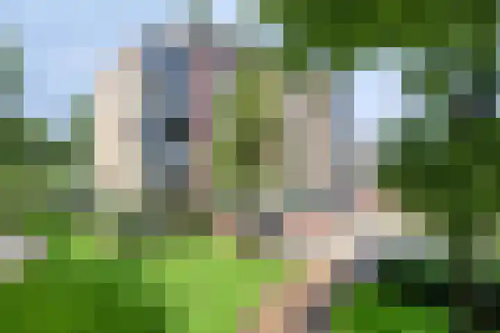 Turfvaartstraat 18 Breda thumbnail 31