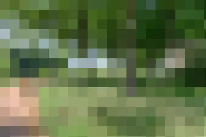 Turfvaartstraat 18 Breda thumbnail 32