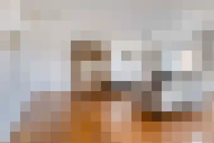 Turfvaartstraat 18 Breda thumbnail 8