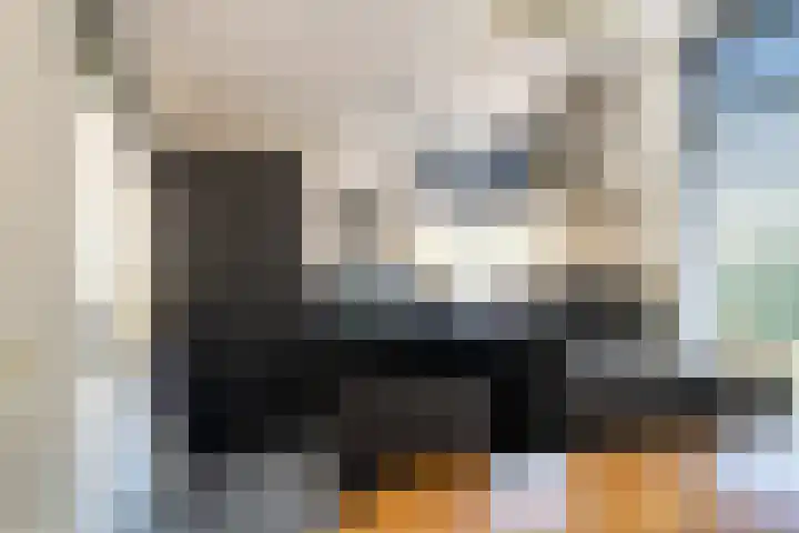 Turfvaert 14 Kaatsheuvel thumbnail 13