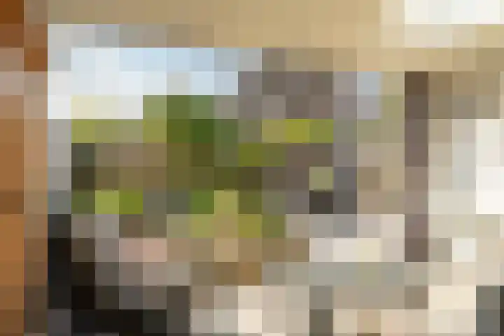 Turfvaert 14 Kaatsheuvel thumbnail 4
