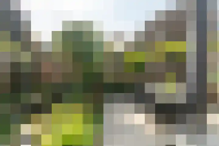 Turfvaert 14 Kaatsheuvel thumbnail 5