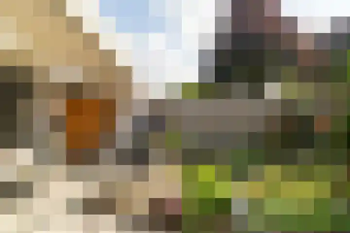 Turfvaert 14 Kaatsheuvel thumbnail 7