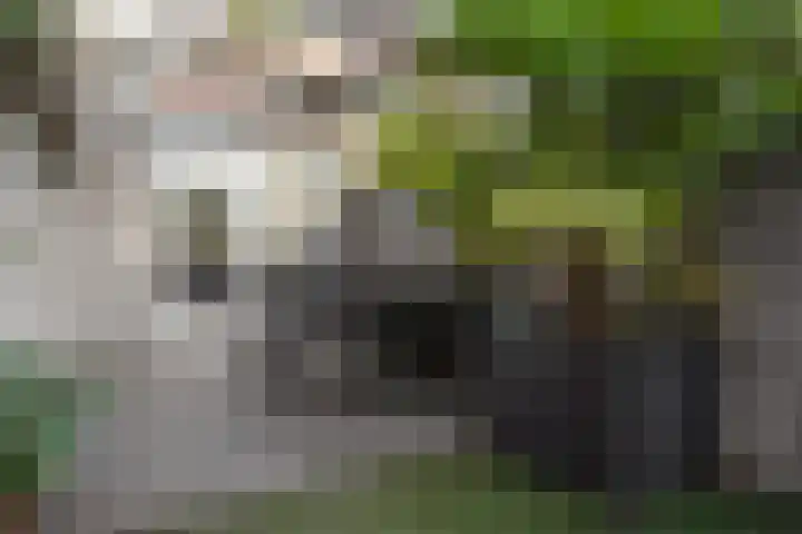 Turfveld 2 Vught thumbnail 33