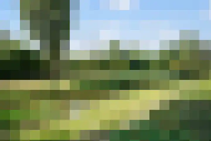Turfveld 2 Vught thumbnail 35