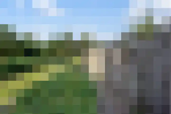 Turfveld 2 Vught thumbnail 36
