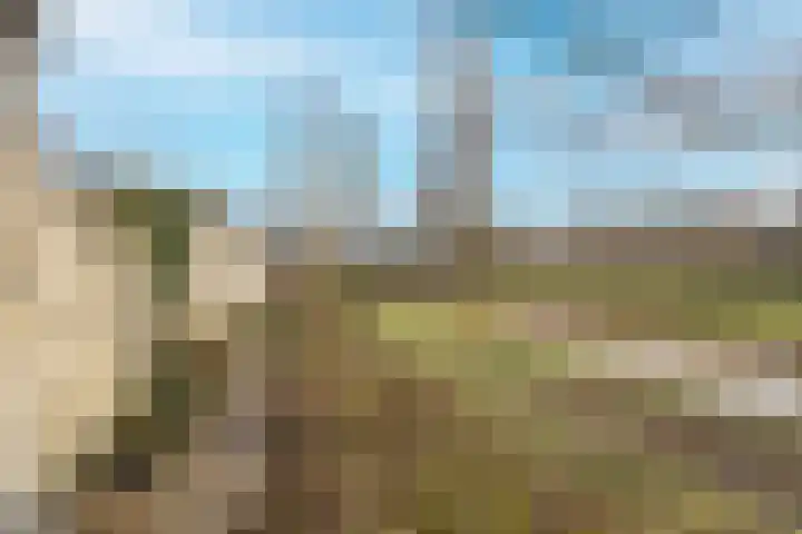 Turfveld 9 Vught thumbnail 34
