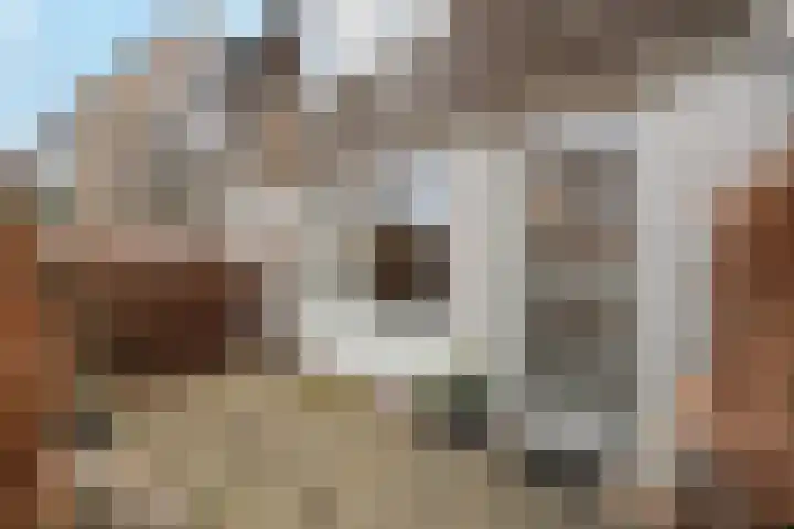 Turfveld 9 Vught thumbnail 5