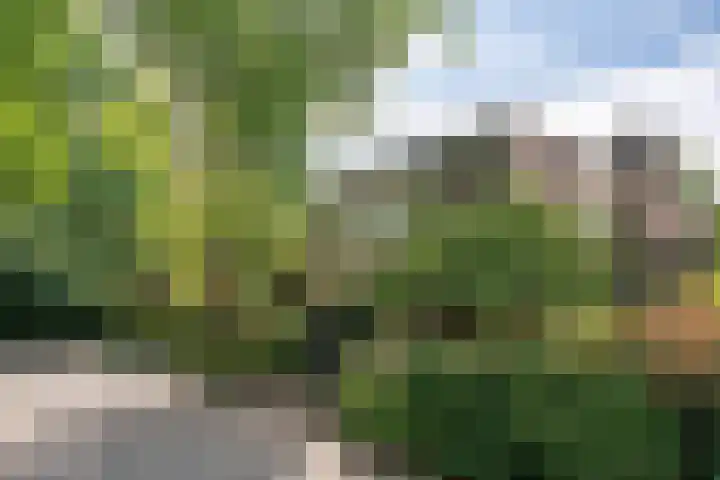 Turfveldenstraat 14 Eindhoven thumbnail 10