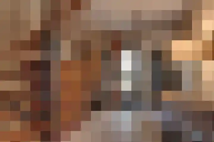 Turfveldenstraat 14 Eindhoven thumbnail 13