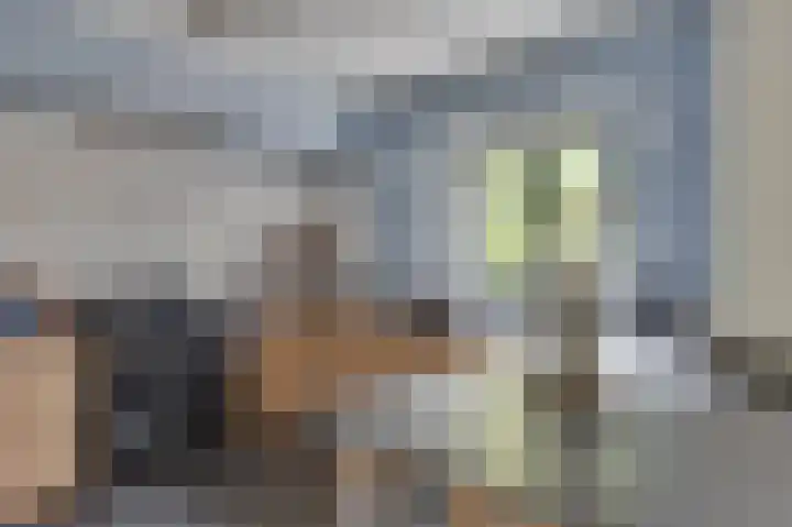 Turfveldenstraat 14 Eindhoven thumbnail 20