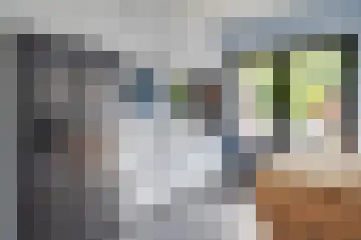 Turfveldenstraat 14 Eindhoven thumbnail 22