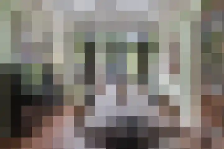 Turfveldenstraat 14 Eindhoven thumbnail 24