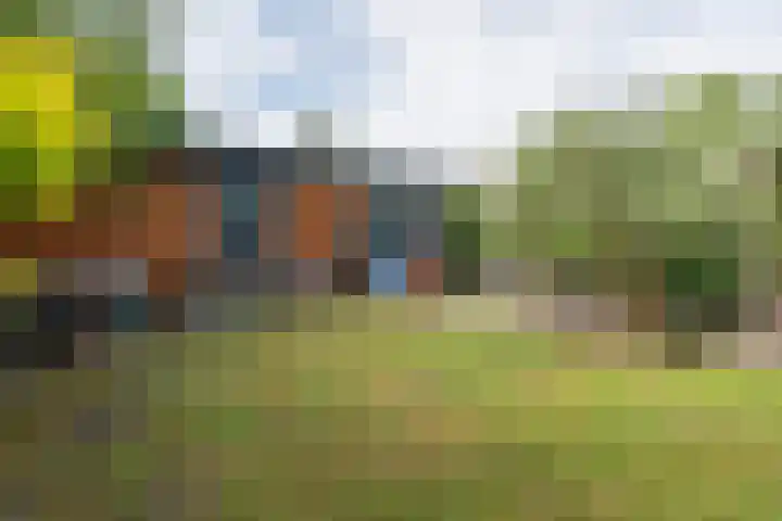 Turfveldenstraat 14 Eindhoven thumbnail 46