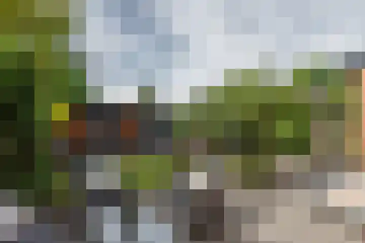 Turfveldenstraat 14 Eindhoven thumbnail 5