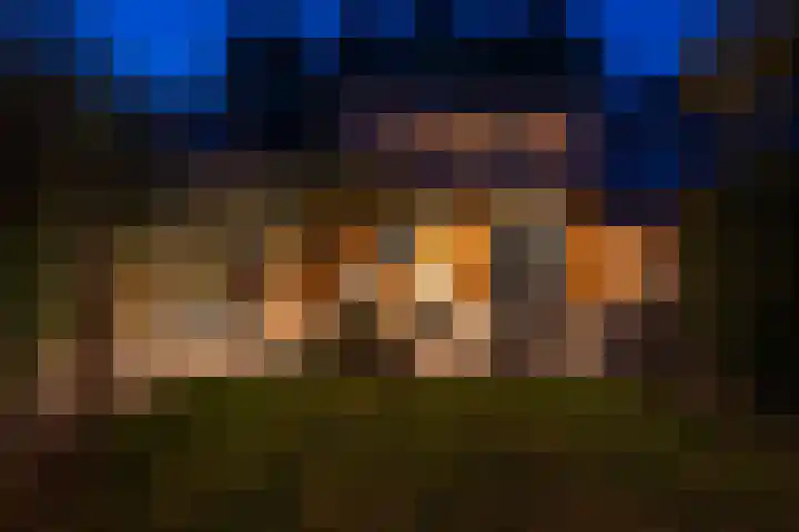 Turfveldenstraat 14 Eindhoven thumbnail 59